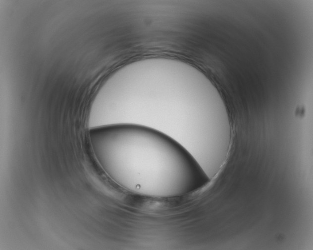 X0000113940174200909250948