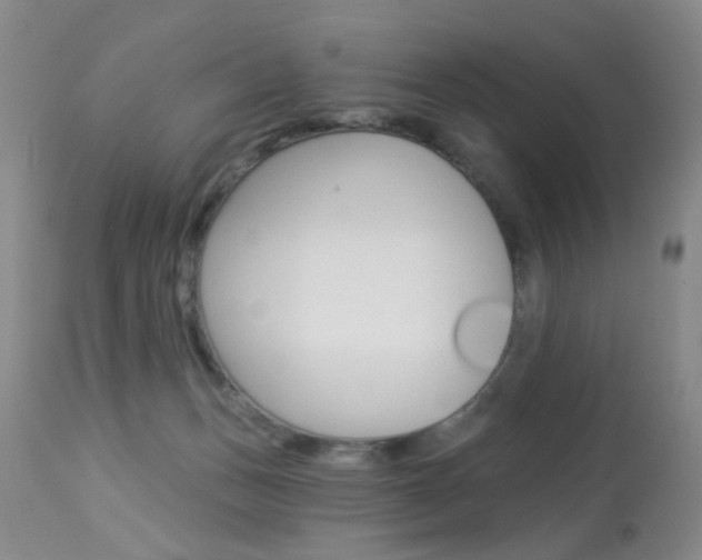 X0000113940175200909250948