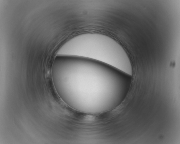 X0000113940176200909250948