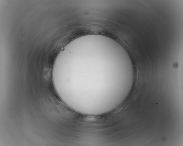 X0000113940177200909250948