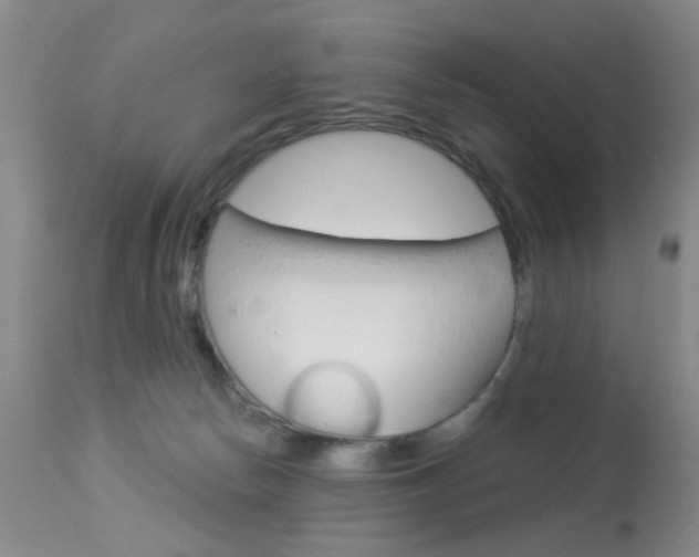 X0000113940178200909250948