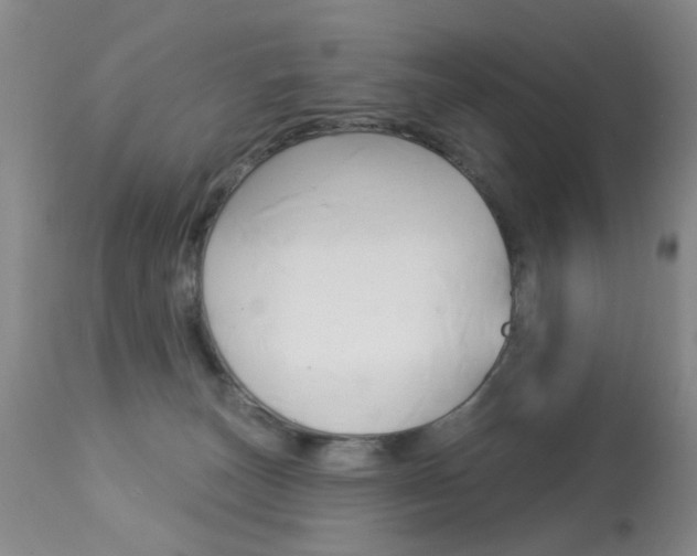 X0000113940179200909250948