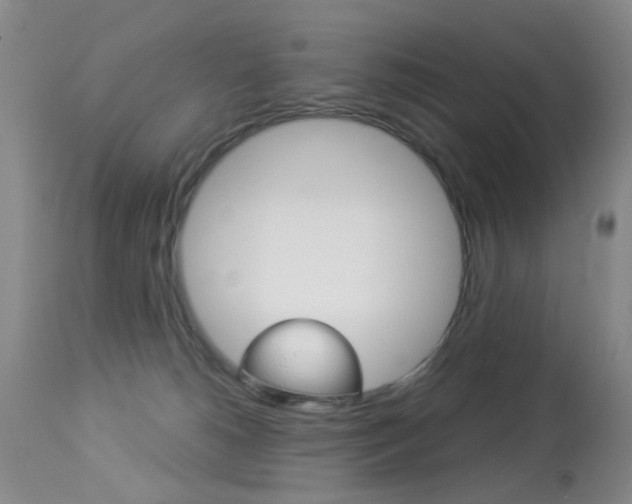 X0000113940180200909250948