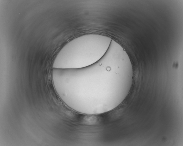 X0000113940181200909250948