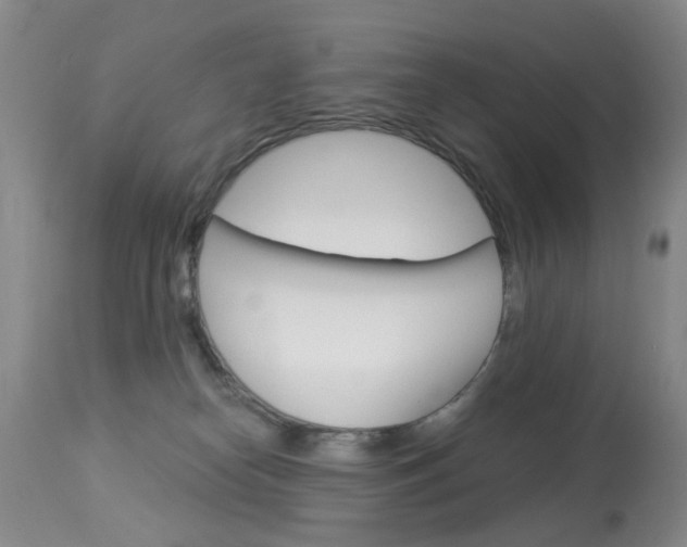 X0000113940182200909250948