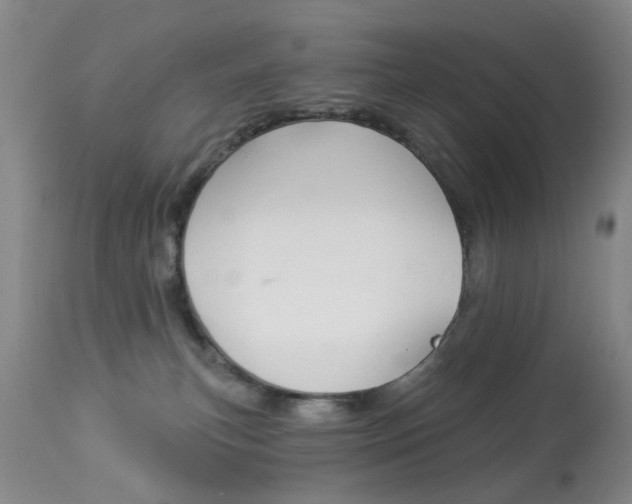 X0000113940183200909250948