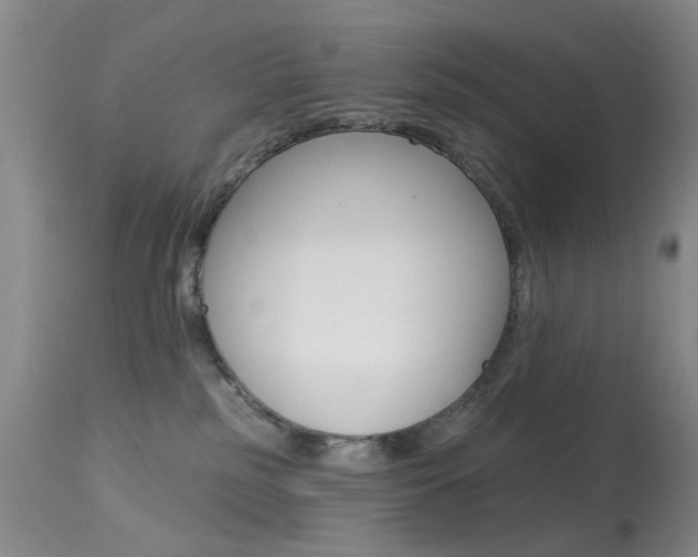 X0000113940185200909250948
