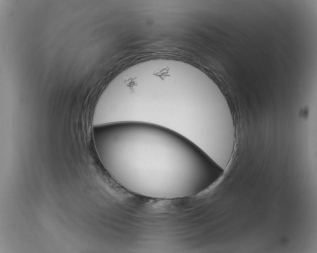 X0000113940186200909250948