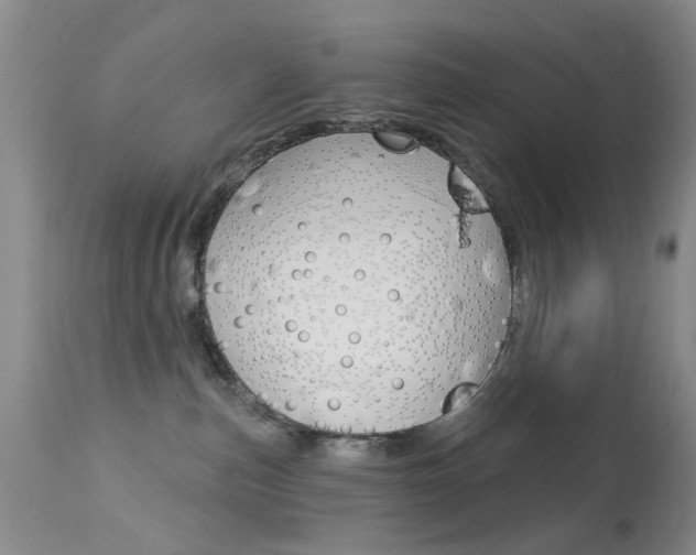 X0000113940187200909250948