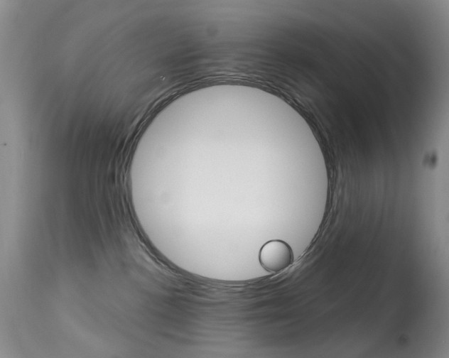 X0000113940188200909250948
