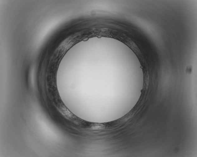 X0000113940189200909250948