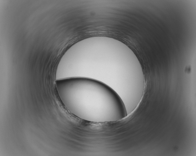 X0000113940190200909250948