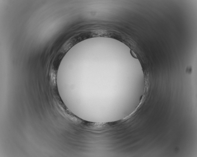 X0000113940191200909250948