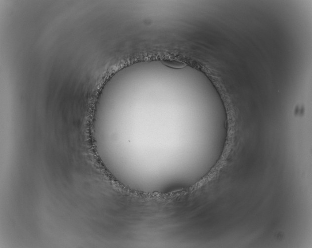 X0000113940192200909250948