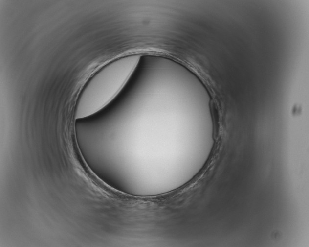 X0000113940193200909250947