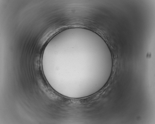 X0000113940194200909250947