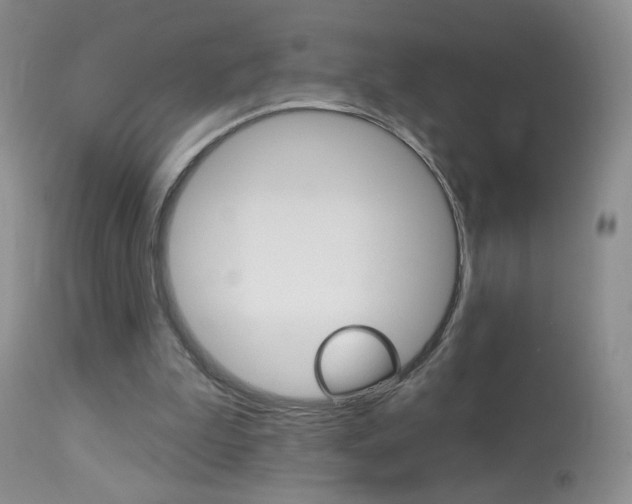 X0000113940199200909250947