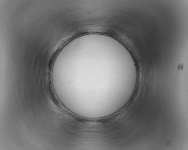 X0000113940202200909250947