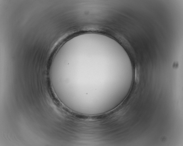 X0000113940204200909250947