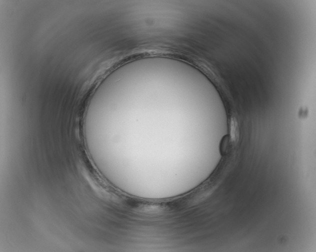 X0000113940205200909250947