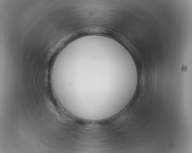 X0000113940206200909250947