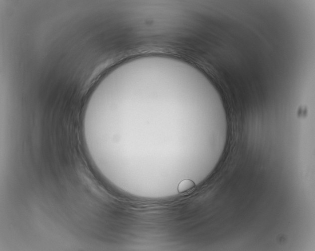 X0000113940207200909250947