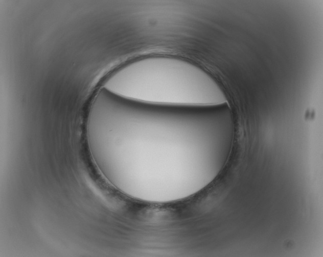 X0000113940208200909250947