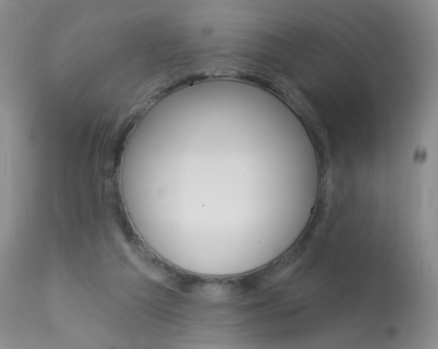 X0000113940209200909250947