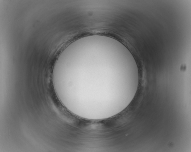 X0000113940210200909250947