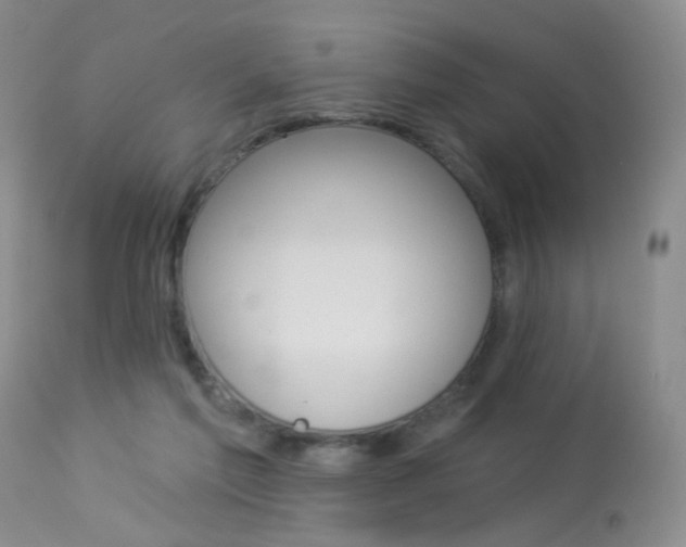 X0000113940213200909250947