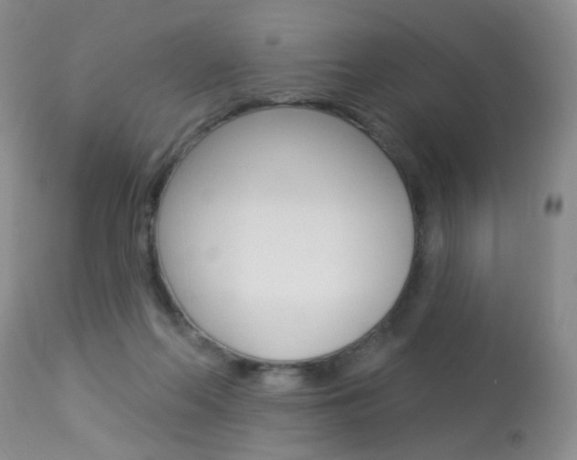 X0000113940214200909250947