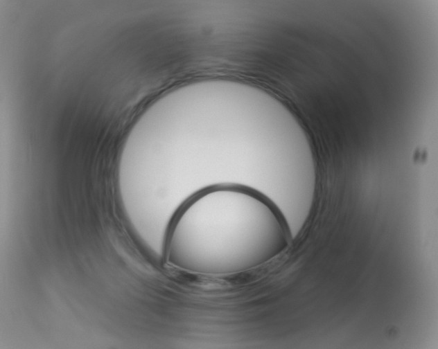 X0000113940215200909250947