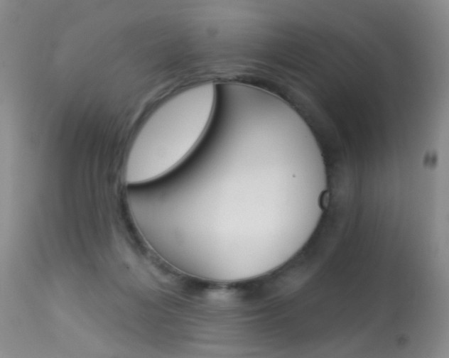 X0000113940216200909250947
