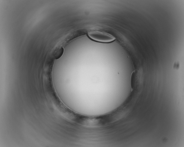 X0000113940217200909250947