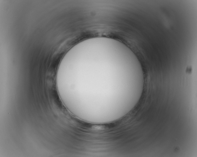 X0000113940218200909250947