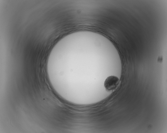X0000113940219200909250947