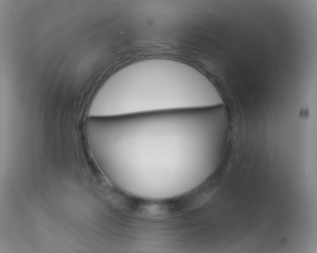 X0000113940221200909250947
