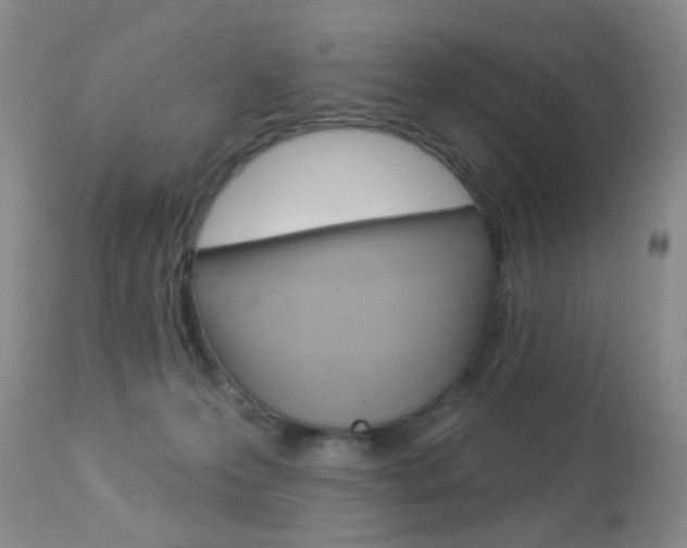X0000113940223200909250947