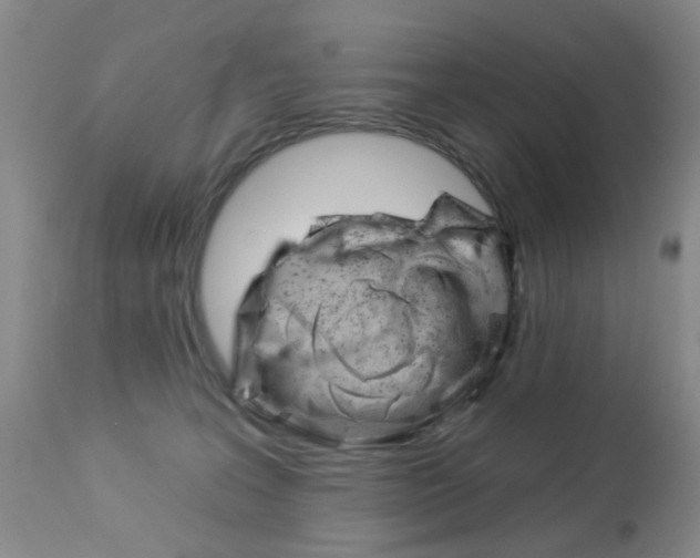 X0000113940227200909250947