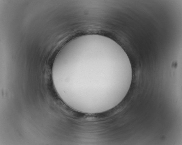 X0000113940228200909250947