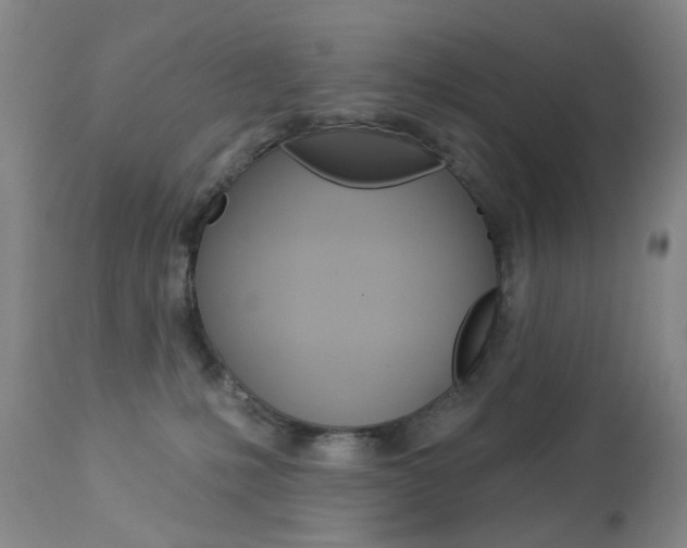 X0000113940231200909250947