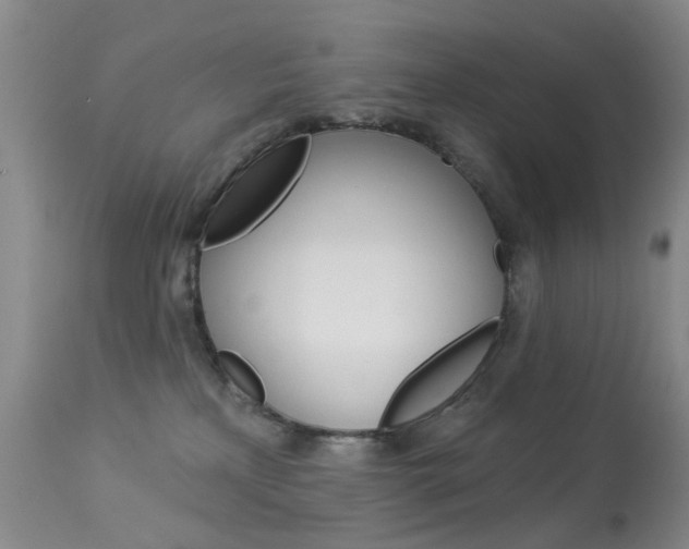 X0000113940233200909250947