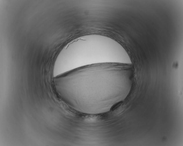 X0000113940235200909250946