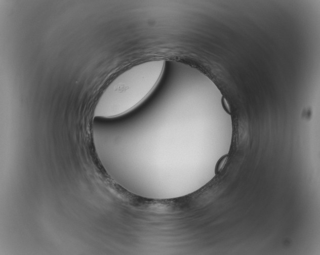 X0000113940236200909250946