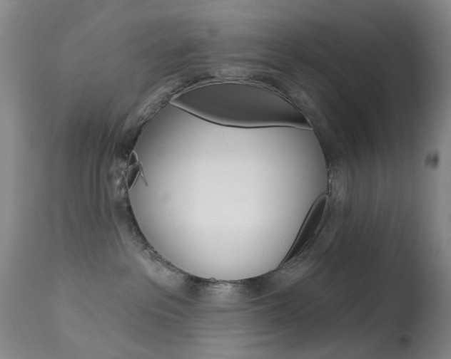 X0000113940237200909250946