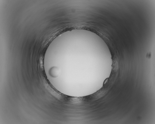 X0000113940238200909250946