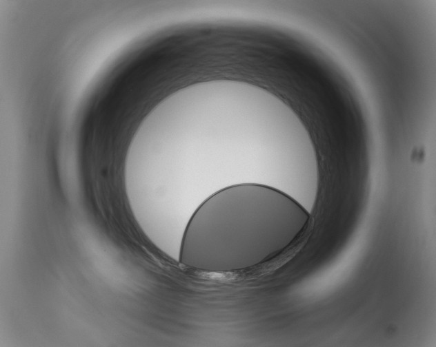 X0000113940239200909250946