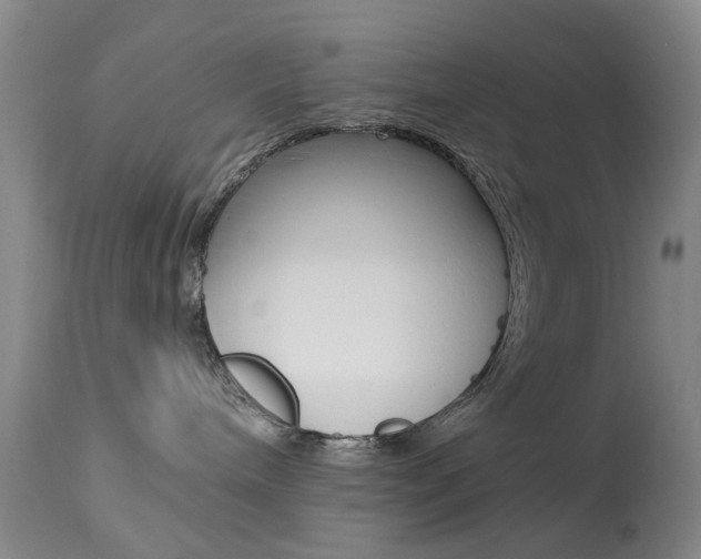 X0000113940240200909250946