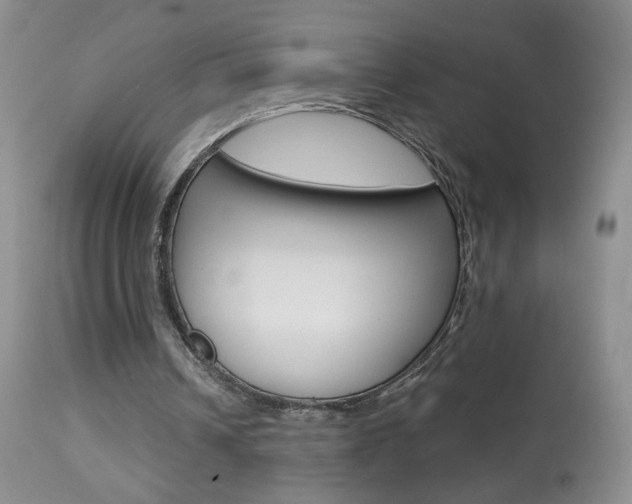 X0000113940242200909250946