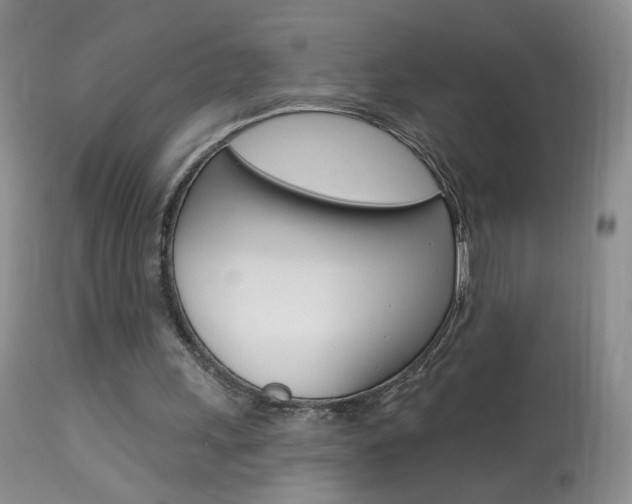 X0000113940243200909250946